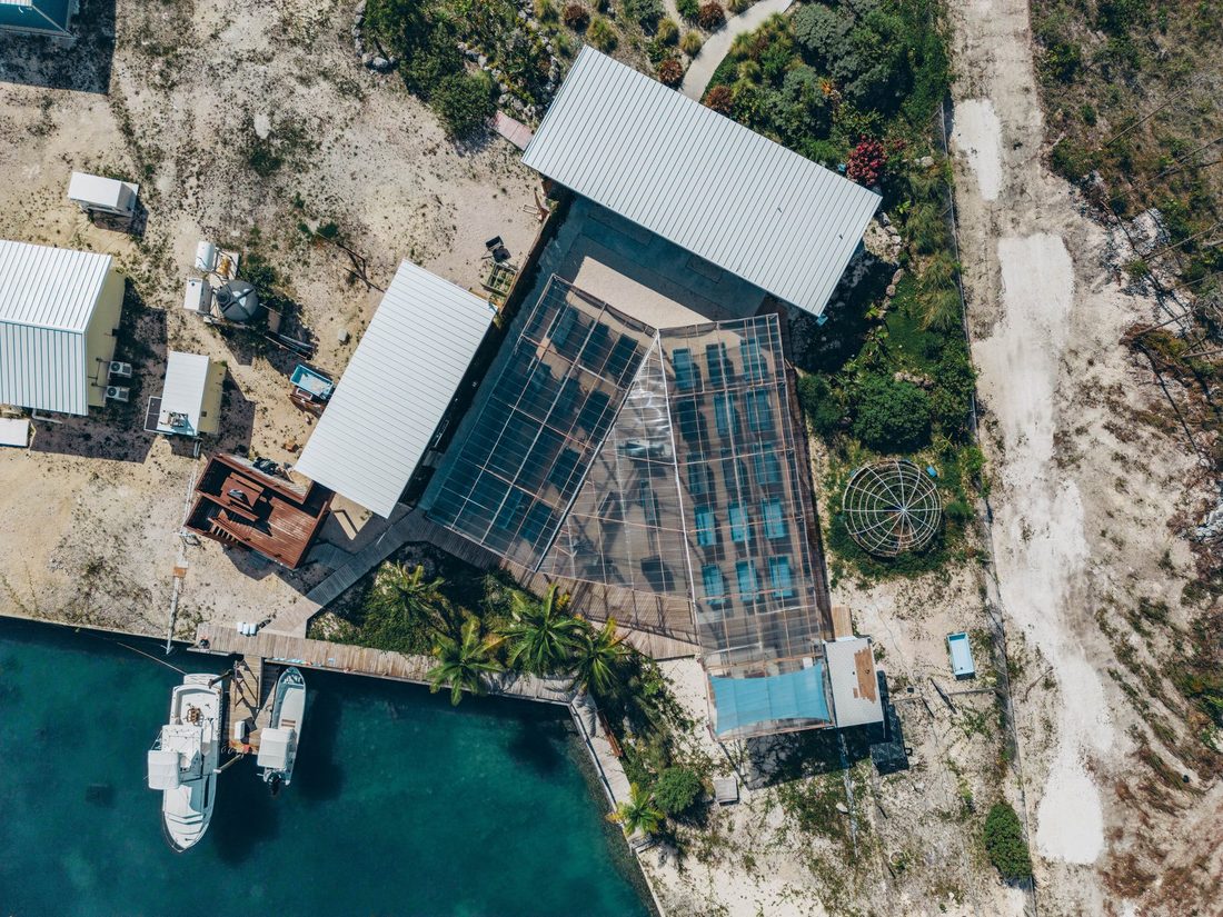 Aerial view of Coral Vita’s land-based coral farm